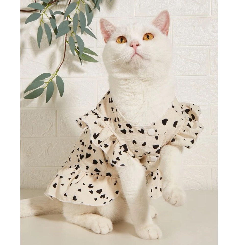 Heart Print Pet Dress 🐈
